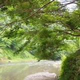 天川村の川（ささやかな癒し）