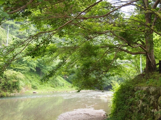 天川村の川（ささやかな癒し）