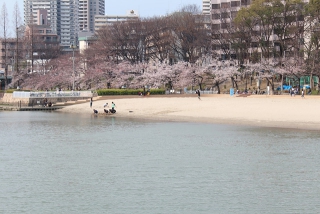 都会に砂浜？　大川沿い