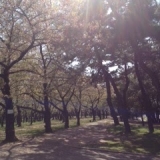 浜寺公園