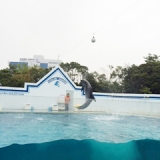 品川水族館 イルカ