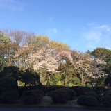 東京都立庭園美術館