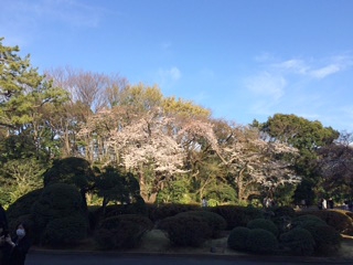 東京都立庭園美術館