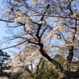 東京都立庭園美術館