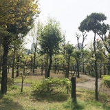 公園の風景