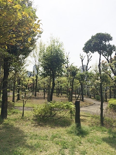 公園の風景