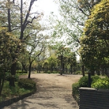 公園の風景