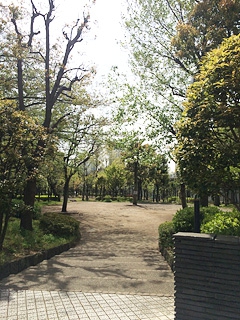 公園の風景