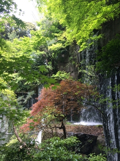 目黒 雅叙園